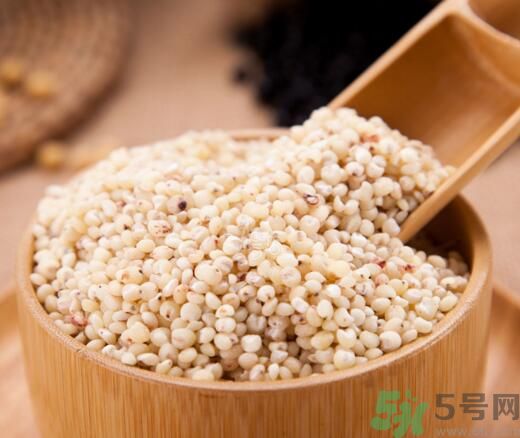 高粱米是發(fā)物嗎？高粱米是不是發(fā)物？
