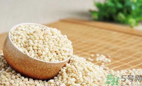 高粱米是發(fā)物嗎？高粱米是不是發(fā)物？