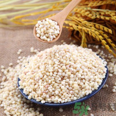 高粱米能做飯嗎？高粱米做飯好嗎？