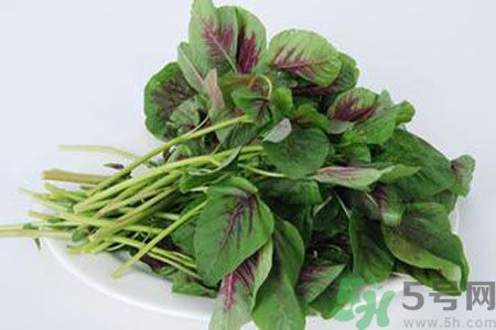 漢菜是熱性還是涼性？漢菜是涼性的嗎？