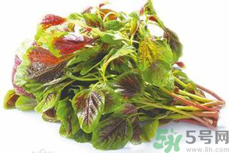 孕婦可以吃漢菜嗎？懷孕可以吃漢菜嗎？