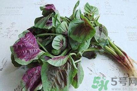 寶寶可以吃漢菜嗎？寶寶吃漢菜好嗎？