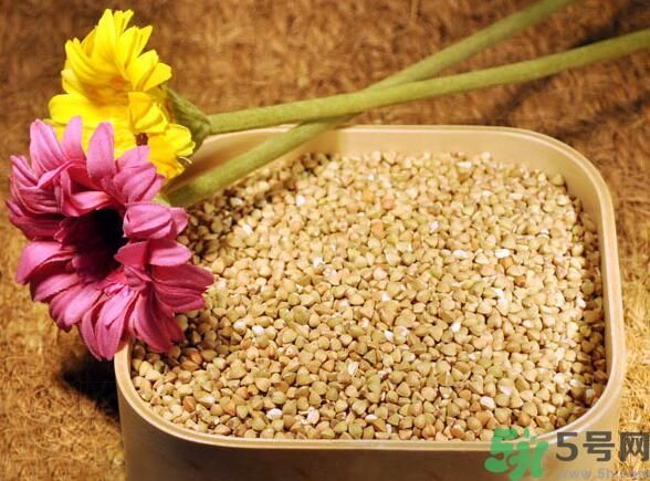 蕎麥是發(fā)物嗎？蕎麥是不是發(fā)物？