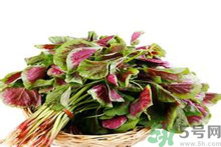 胃不好可以吃莧菜嗎？胃不好吃莧菜好嗎？