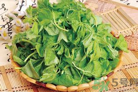 胃不好可以吃莧菜嗎？胃不好吃莧菜好嗎？