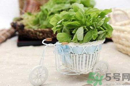 糖尿病可以吃莧菜嗎？糖尿病吃莧菜好嗎？