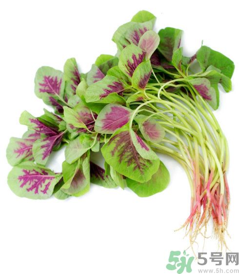 月經(jīng)期間可以吃漢菜嗎？來月經(jīng)可以吃漢菜嗎？