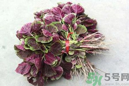 衣服上染上了莧菜汁怎么辦？衣服上的莧菜汁怎么洗掉？