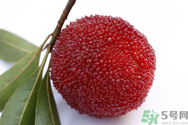 吃楊梅時可以喝茶嗎？吃楊梅時喝茶有什么壞處？
