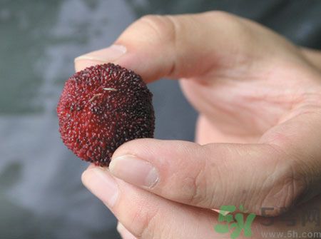 楊梅里面的蟲子能吃嗎？楊梅里面的蟲子吃了會怎么樣？
