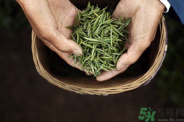 吃魚的時候能喝茶嗎？吃魚可以喝茶嗎？