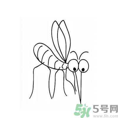 夏天家中有蒼蠅怎么辦？夏天如何滅蒼蠅？