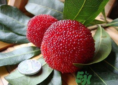 楊梅紅色好還是黑色好？楊梅顏色越深越好嗎？