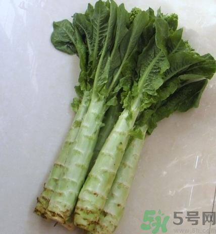 筍子是不是發(fā)物？筍子是發(fā)物嗎？