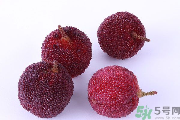 楊梅里面有小蟲怎么洗？楊梅里的蟲子怎么弄出來？