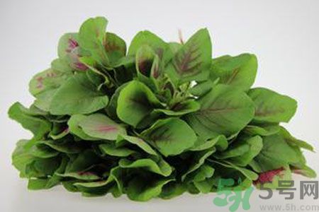 吃漢菜可以補血嗎？漢菜怎么吃補血？