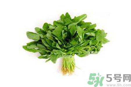 莧菜可以生吃嗎？莧菜生吃了會(huì)怎樣？