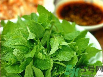 薄荷可以炒菜吃嗎？薄荷可以用來炒菜嗎？