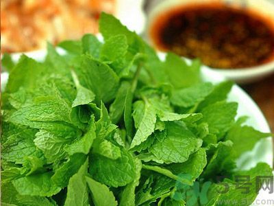 薄荷有什么功效？薄荷的攻效是什么？
