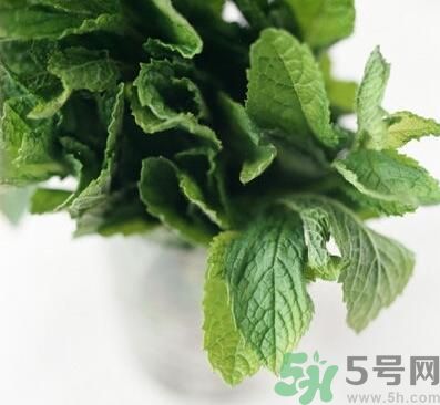 薄荷有什么功效？薄荷的攻效是什么？
