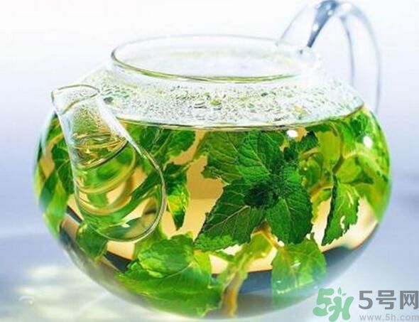 薄荷茶怎么泡好喝？薄荷茶的沖泡方法有哪些？
