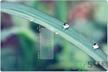 小滿(mǎn)容易得什么皮膚?。啃M(mǎn)得了皮膚病怎么辦？