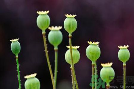 小滿做什么運(yùn)動(dòng)好？小滿運(yùn)動(dòng)要注意什么？