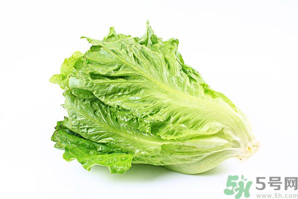 生菜在冰箱放久了能吃嗎？如何分辨生菜新不新鮮？