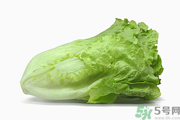 生菜在冰箱放久了能吃嗎？如何分辨生菜新不新鮮？