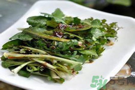 苦菜是酸性還是堿性？苦菜是堿性的嗎？
