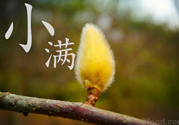 小滿名字的由來(lái)？小滿是什么意思？