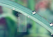 為什么小滿濕氣重？小滿怎么除濕氣？