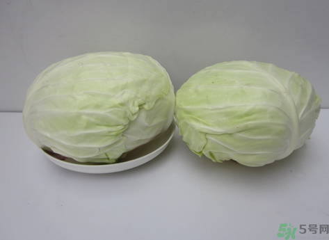 包菜榨汁要加水嗎？包菜汁怎么做？