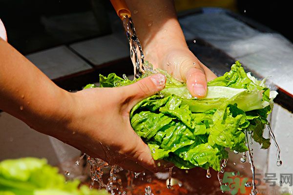 生菜生吃會有寄生蟲嗎？生菜生吃會長寄生蟲嗎？