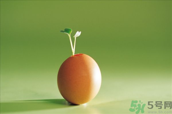 生菜和雞蛋能一起吃嗎？生菜和雞蛋一起怎么做？