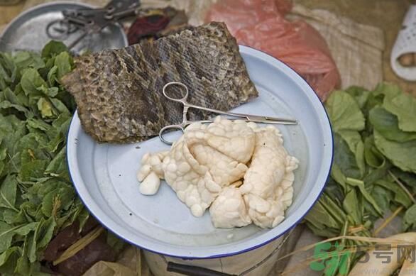 夏天吃蛇肉可以清火嗎？夏天吃蛇肉可以降火嗎？