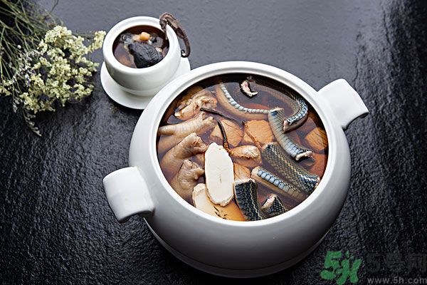 蛇肉是涼性嗎？蛇肉是涼性還是熱性？