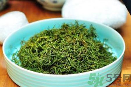 苦菜茶可以和綠茶一起喝嗎？苦菜茶可以和其他茶一起喝嗎？