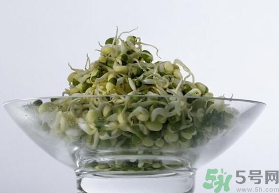 夏天吃綠豆芽可以清火嗎？夏天吃綠豆芽能降火嗎？