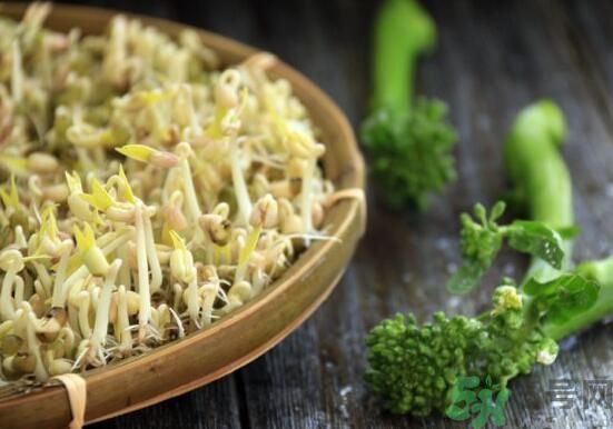怎樣自己發(fā)綠豆芽？綠豆芽怎樣自己發(fā)？