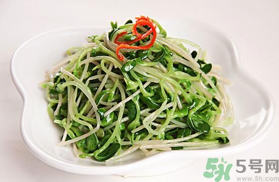 怎樣自己發(fā)綠豆芽？綠豆芽怎樣自己發(fā)？