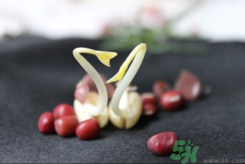 紅豆可以發(fā)豆芽嗎？紅豆芽可以吃嗎？