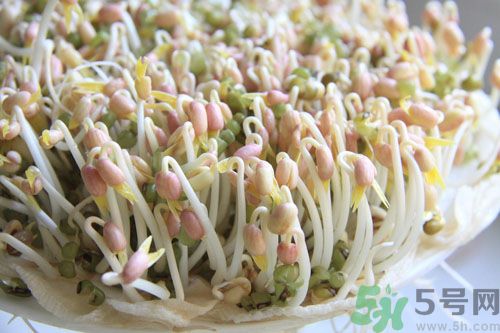 吃毛豆可以減肥嗎？吃毛豆有減肥作用嗎？