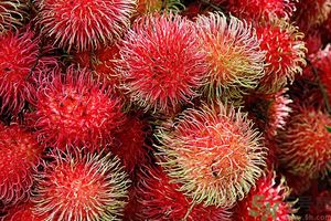 吃紅毛丹上火嗎？吃紅毛丹上火怎么辦？