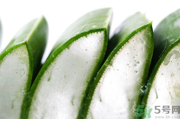 蘆薈有什么功效？蘆薈的功效是什么？