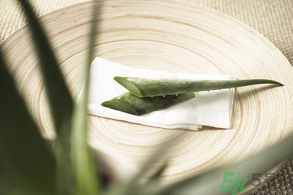蘆薈可以吃嗎？蘆薈怎么吃？