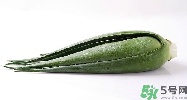 經(jīng)期可以吃蘆薈嗎？經(jīng)期吃蘆薈會(huì)肚子痛嗎？