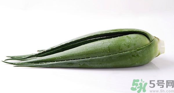 孕婦可以吃蘆薈嗎？孕婦吃蘆薈會(huì)怎樣？