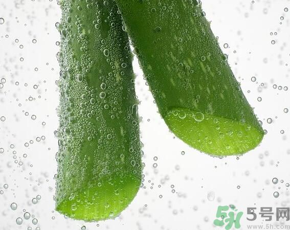 夏天吃蘆薈可以降火嗎？夏天吃蘆薈能清火嗎？
