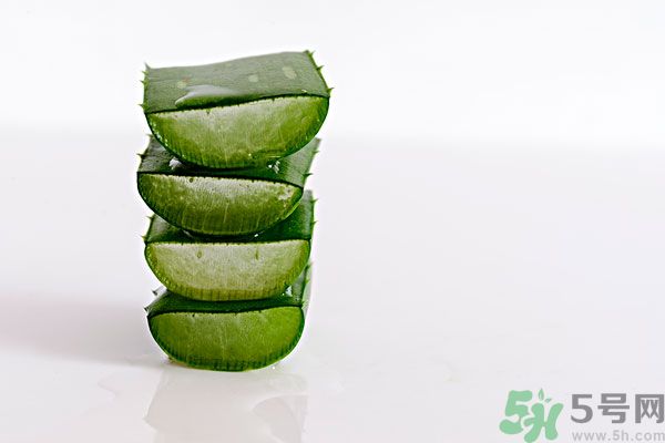 蘆薈是發(fā)物嗎？蘆薈是不是發(fā)物？